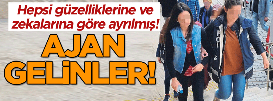 Ajan gelinler! Hepsi güzelliklerine ve zekalarına göre ayrılmış!