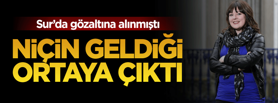 Ajan gibi çalışan İngiliz vekil: Natalie McGarry