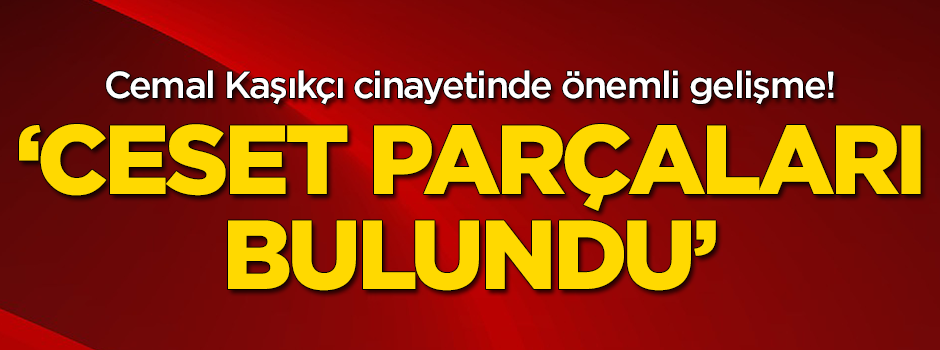 Ajanslar duyuruyor! Ceset parçaları bulundu