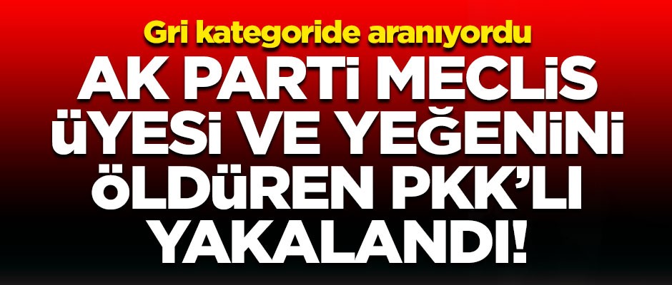 AK Parti Meclis Üyesi ve yeğenini öldüren PKK'lı terörist yakalandı