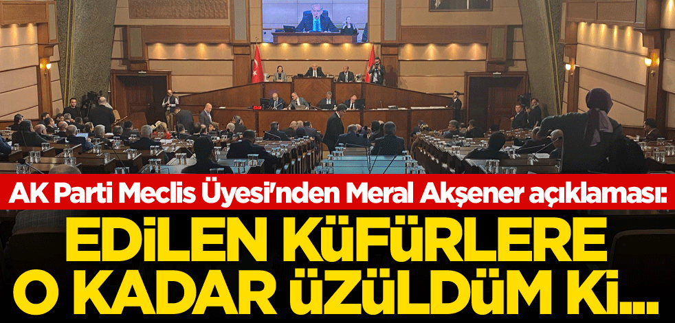 AK Parti Meclis Üyesi'nden Meral Akşener açıklaması: Edilen küfürlere o kadar üzüldüm ki...