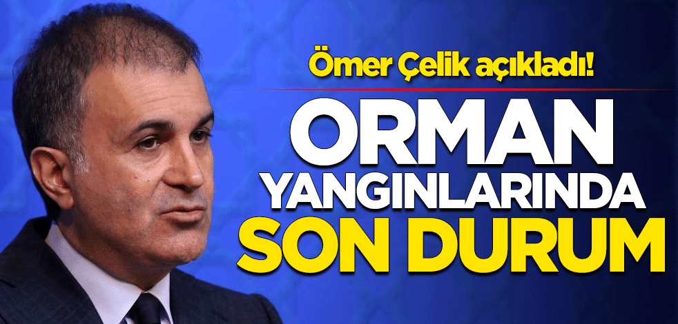 AK Parti Sözcüsü Ömer Çelik orman yangınlarındaki son durumu açıkladı