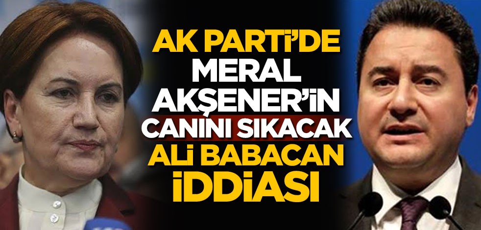 AK Parti'de Meral Akşener'in canını sıkacak Ali Babacan iddiası