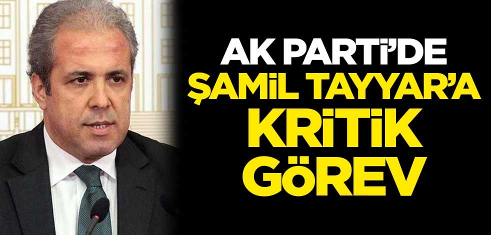 AK Parti'de Şamil Tayyar'a kritik görev