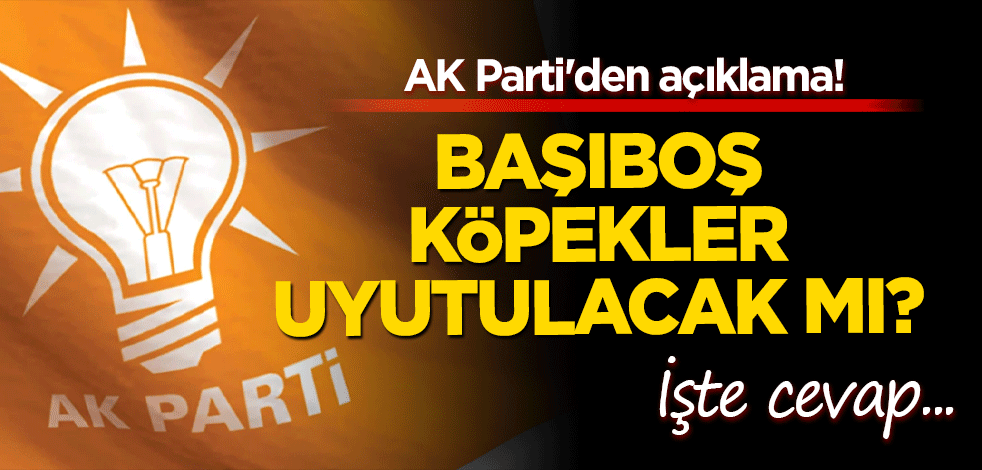 AK Parti'den açıklama! Başıboş köpekler uyutulacak mı? Düzenleme ne zaman paylaşılacak?