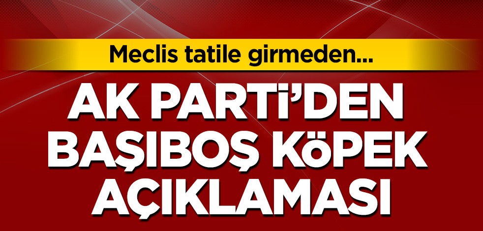 AK Parti'den başıboş köpek açıklaması: Meclis tatile girmeden yasalaşır
