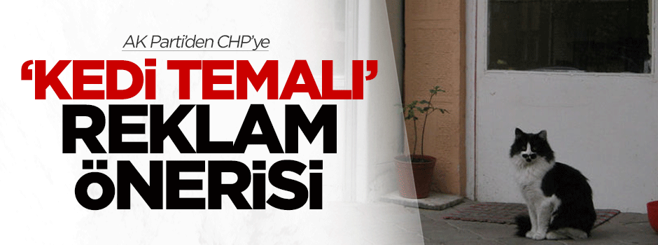 CHP'ye "kedi temalı reklam" önerisi