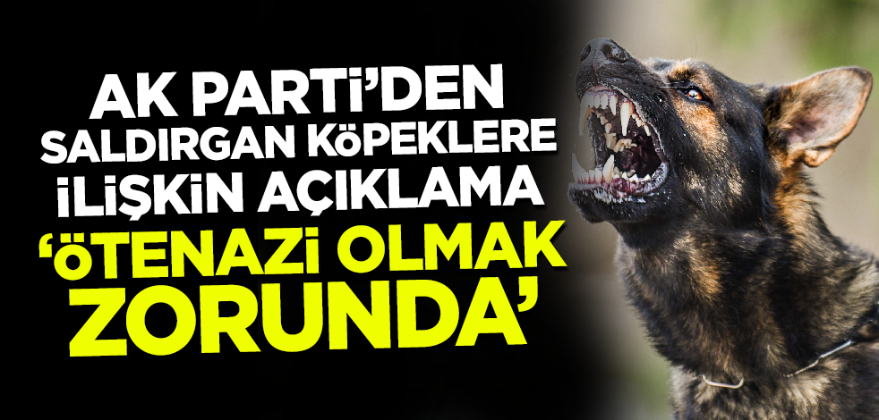 AK Parti'den saldırgan köpeklere ilişkin açıklama! 'Ötenazi olmak zorunda'