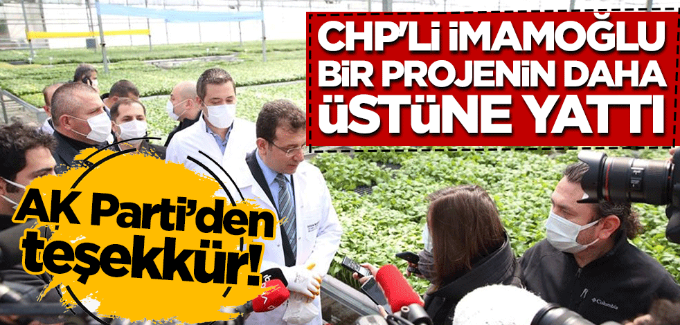 AK Parti'den teşekkür geldi! CHP'li İmamoğlu bir projenin daha üstüne yattı