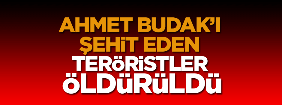 AK Partili Ahmet Budak’ı şehit eden teröristler öldürüldü