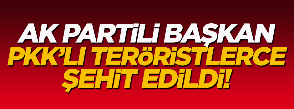 AK Partili başkan yardımcısı PKK'lı teröristlerce şehit edildi