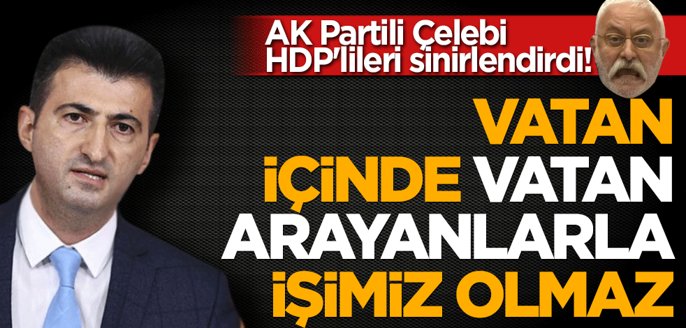 AK Partili Çelebi HDP'lileri kudurttu! Vatan içinde vatan arayanlarla işimiz yok