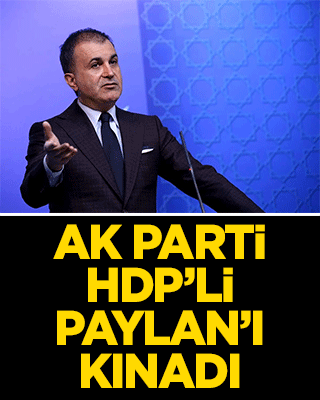 AK Parti'li Çelik, HDP'li Paylan'ı kınadı