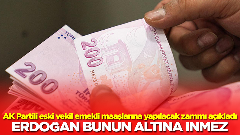 AK Partili eski vekil emekli maaşlarına yapılacak zammı açıkladı: Erdoğan bunun altına inmez