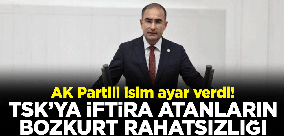 AK Partili isim ayar verdi! TSK’ya iftira atanların bozkurt rahatsızlığı