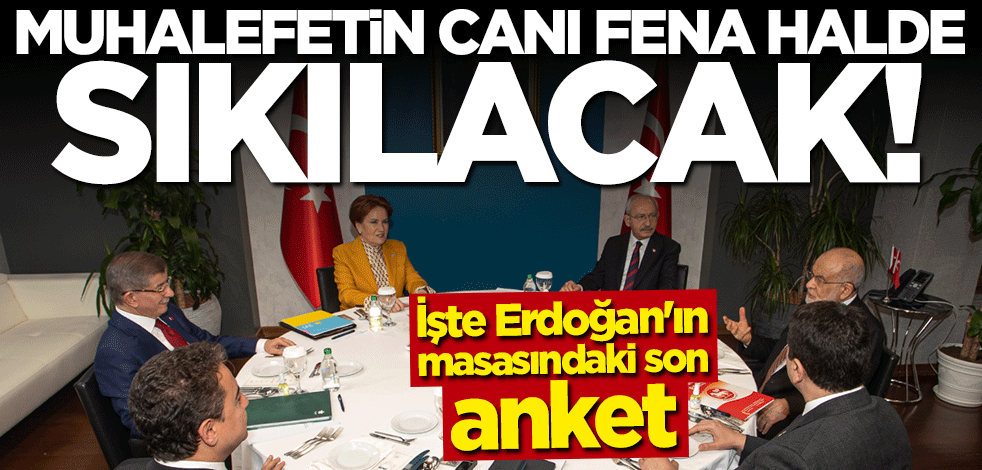 AK Partili isim duyurdu! Muhalefetin canı fena halde sıkılacak