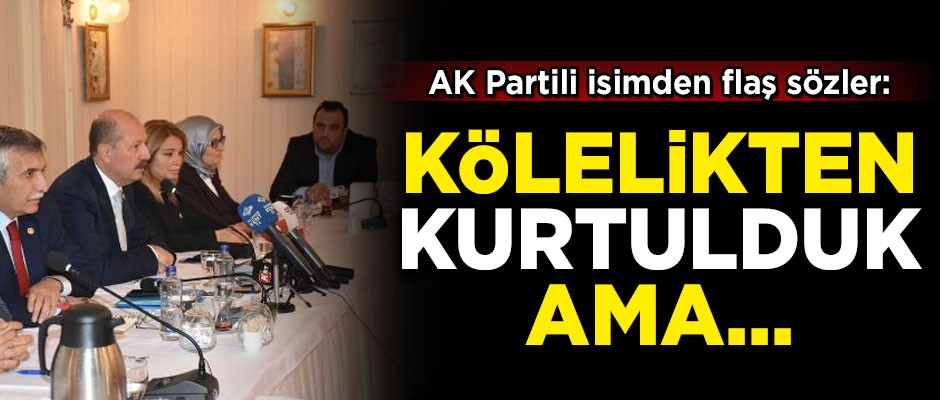 AK Partili isimden flaş açıklama! 'Türkiye, Kurtuluş Savaşı ile kölelikten kurtuldu ama...'