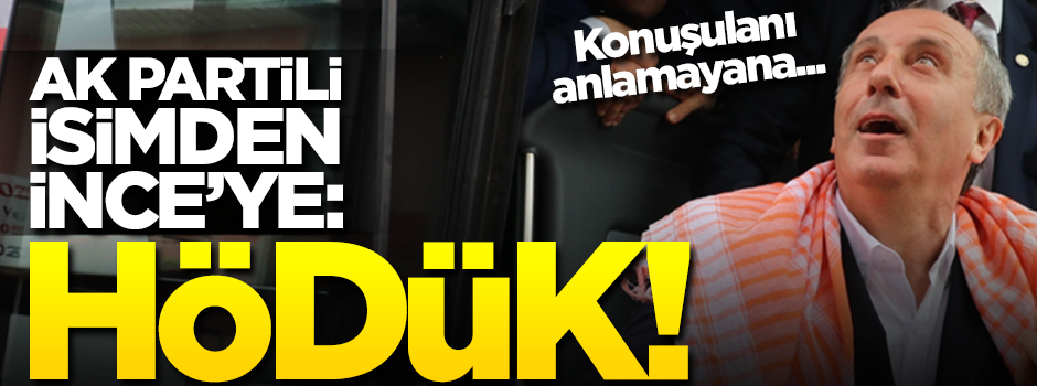 AK Partili isimden İnce’ye tokat gibi cevap: Anlamayana hödük derler!