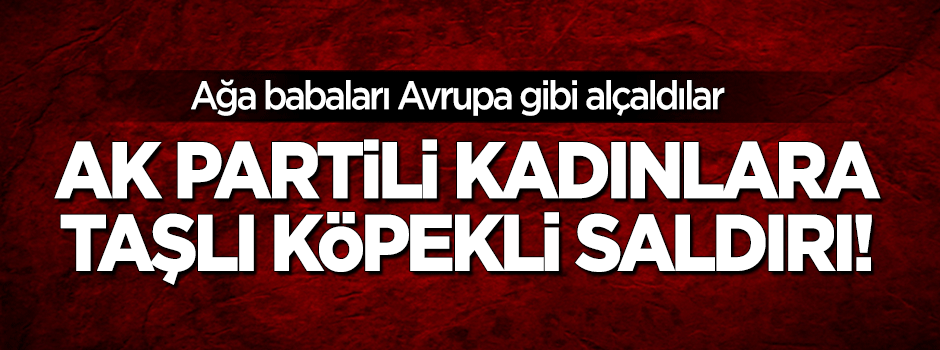 AK Partili kadınlara taşlı ve köpekli saldırı!