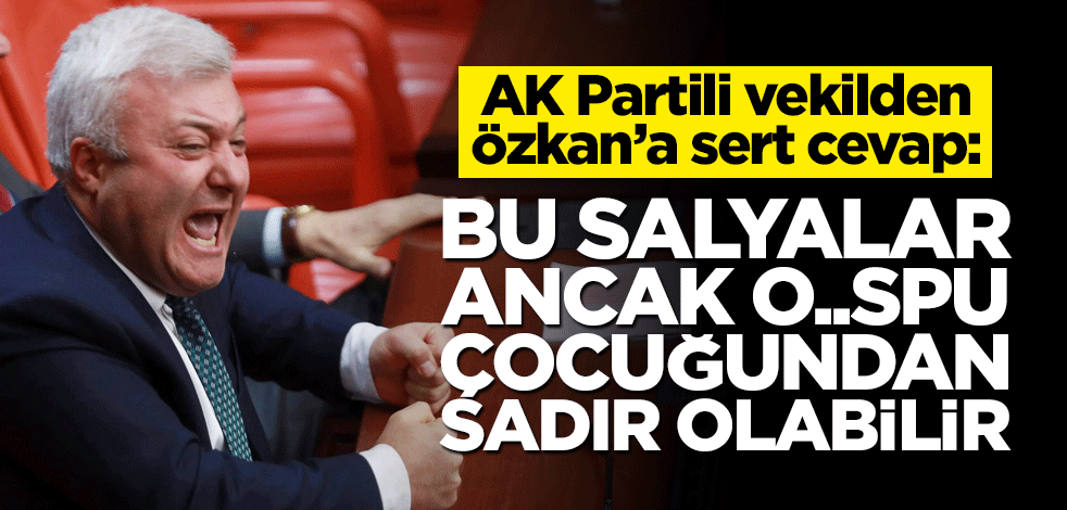 AK Partili Mahmut Rıdvan Nazırlı'dan Tuncay Özkan'a çok sert cevap