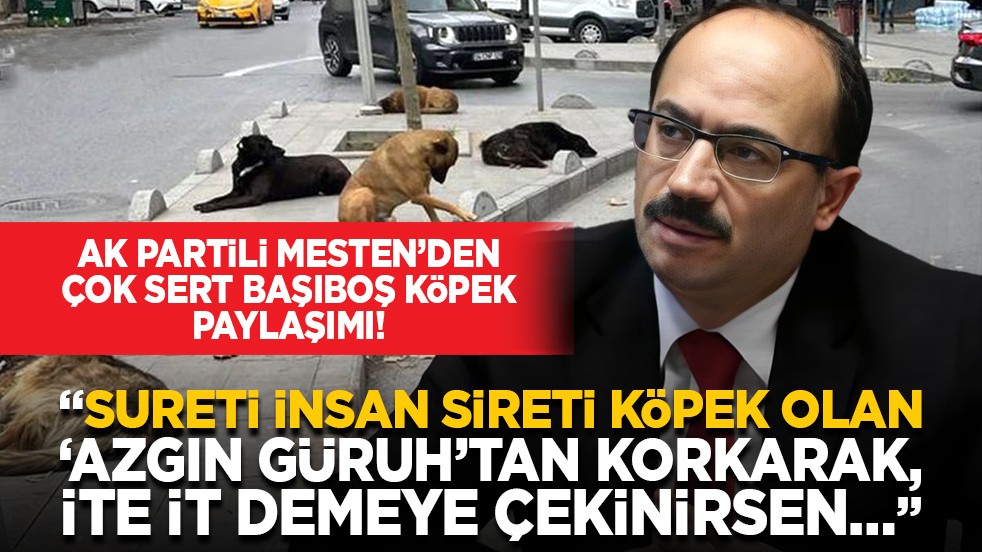 AK Partili Mesten’den çok sert başıboş köpek paylaşımı! “Sureti insan sireti köpek olan ‘azgın güruh’tan korkarak, ite it demeye çekinirsen…”