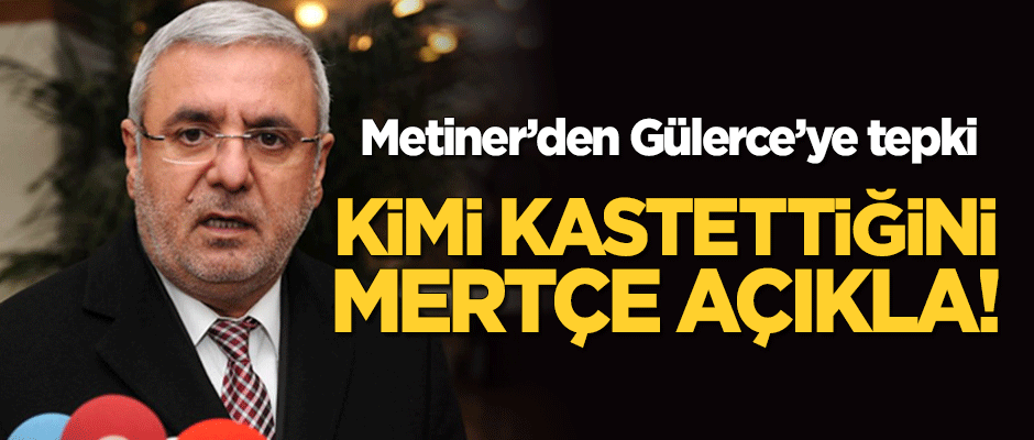 AK Partili Metiner’den Gülerce’ye tepki: Kimi kastettiğini mertçe açıkla!