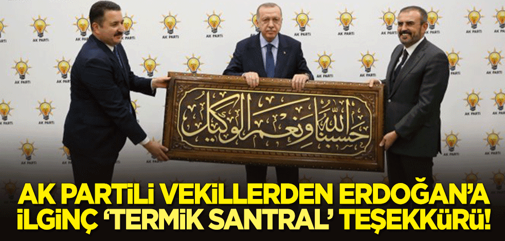 AK Partili milletvekillerinden Cumhurbaşkanı Erdoğan'a ilginç 'termik santral' teşekkürü!