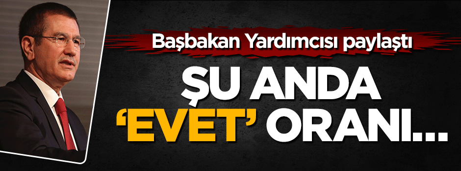 AK Partili Nurettin elindeki referandum anketini açıkladı