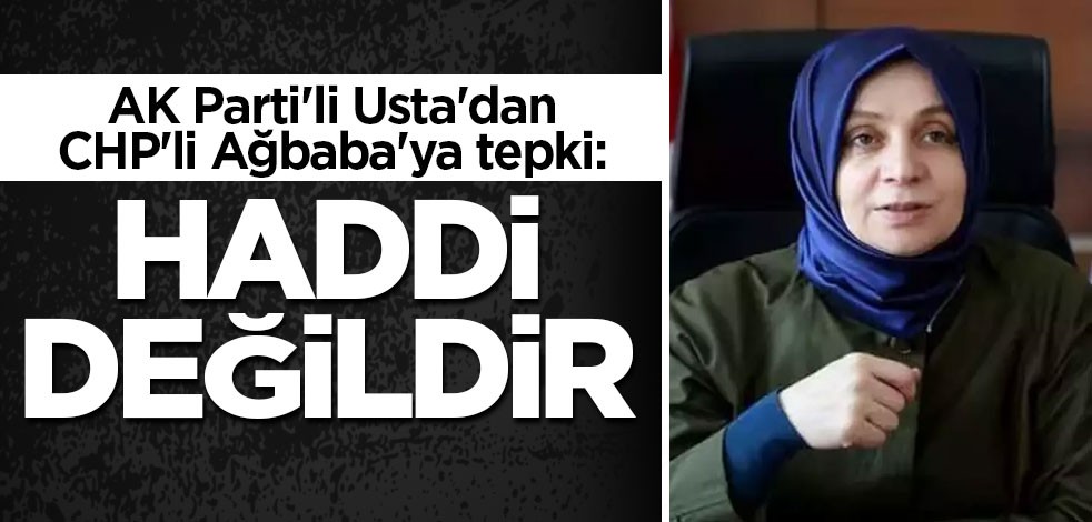 AK Parti'li Usta'dan CHP'li Ağbaba'ya tepki: Haddi değildir
