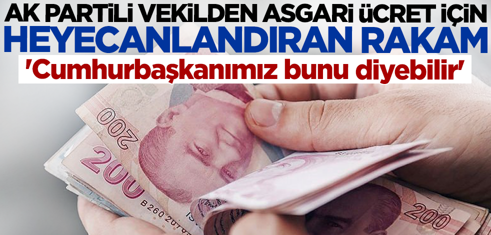 AK Partili vekilden asgari ücret için heyecanlandıran rakam! 'Cumhurbaşkanımız bunu diyebilir'