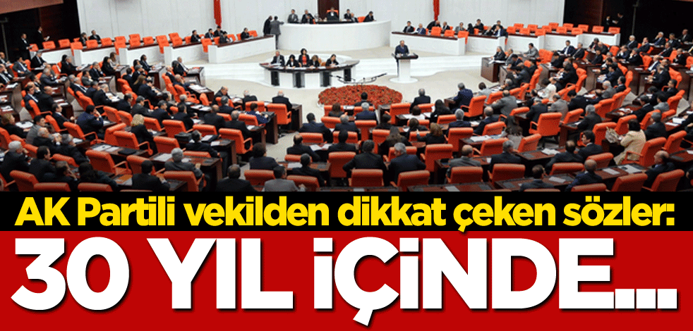 AK Partili vekilden dikkat çeken sözler: 30 yıl içinde...