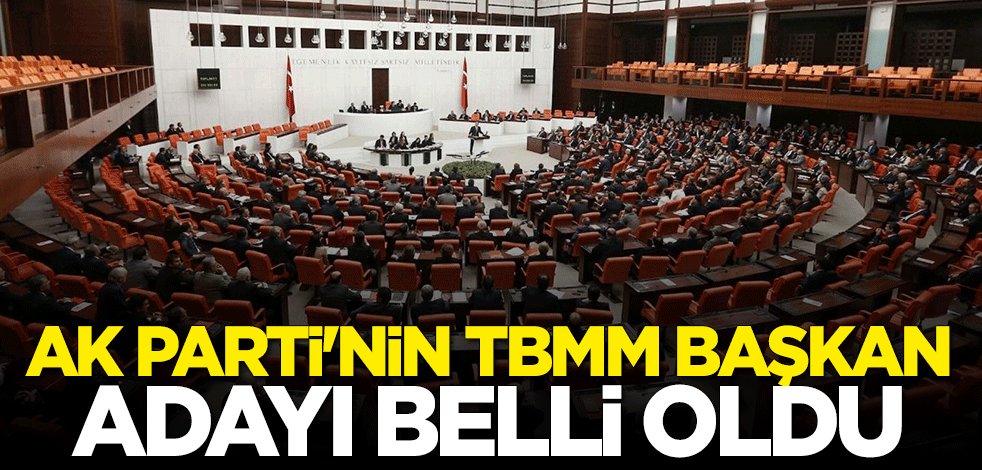 AK Parti'nin TBMM Başkan adayı belli oldu