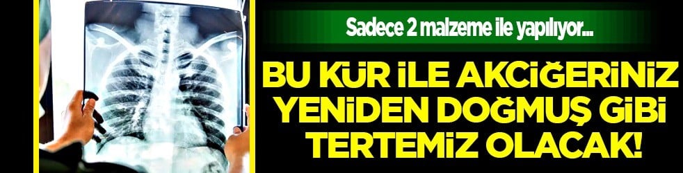 Akciğerleri tertemiz yapıyor: Sigara içenlere öneri! Ciğerlerinizdeki kirli o alanı açıyor... Öyle bir malzeme ki