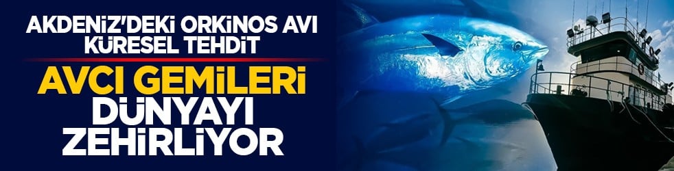 Akdeniz'deki orkinos avı küresel tehdit: Avcı gemileri dünyayı zehirliyor