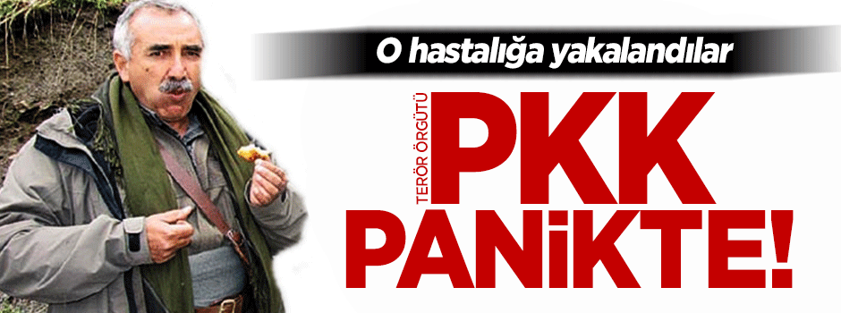 Akdoğan: PKK erken iktidar hastalığına yakalandı