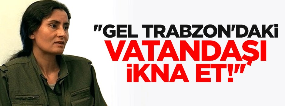 Akdoğan’dan Bese Hozat’a: Gel Trabzon'daki vatandaşı ikna et!