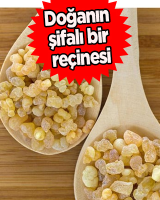 Akgünlük sakızı nasıl kullanılır? Böyle mücadele eden ve doğanın şifalı bir reçinesi yok! İşte tüm özellikleri