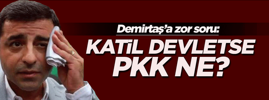 Akif Beki: Katil devletse, PKK ne?