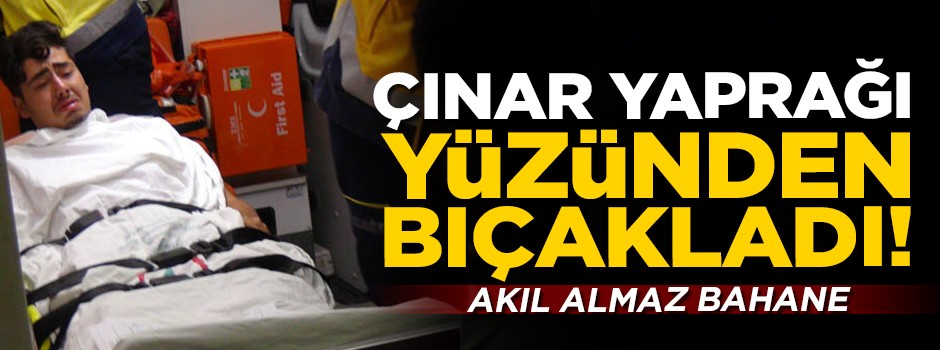 Akıl almaz bahane: Çınar yaprağı yüzünden bıçakladı!