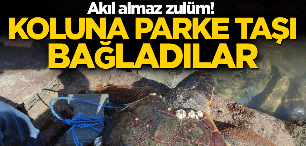 Akıl almaz zulüm! Koluna parke taşı bağladılar