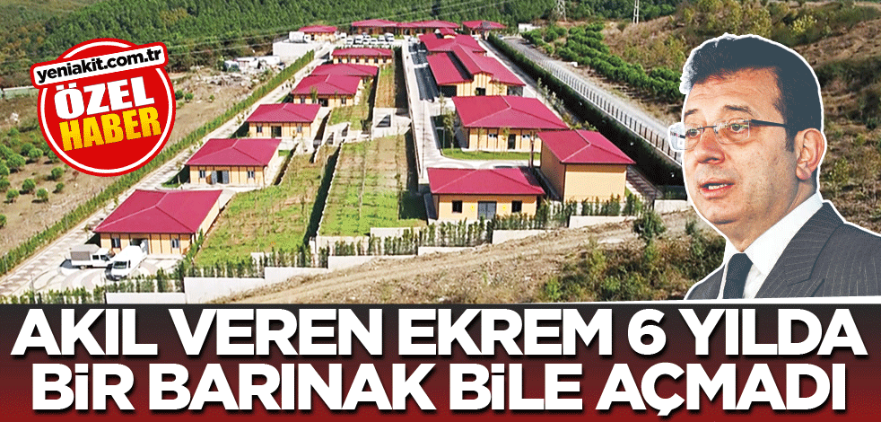 Akıl veren Ekrem, 6 yılda bir barınak bile açmadı