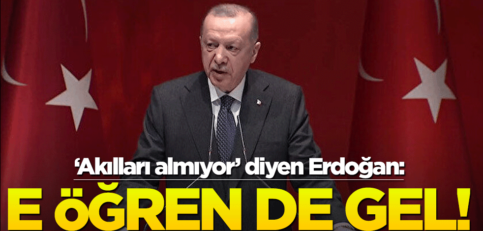 "Akılları almıyor" diyen Erdoğan: E öğren de gel!