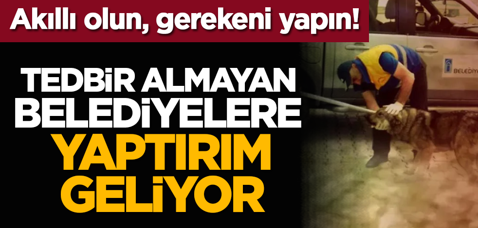 Akıllı olun, gerekeni yapın! Tedbir almayan belediyelere yaptırım geliyor