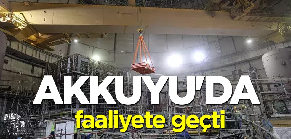 Akkuyu NGS'den büyük adım: tarihi kutup vinci faaliyete geçti! Türk enerji şirketi yeni sahipleri oldu