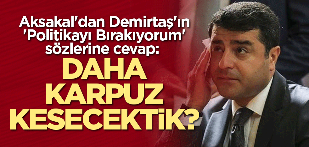 Aksakal'dan Demirtaş'ın 'Politikayı Bırakıyorum' sözlerine cevap: Daha karpuz kesecektik?