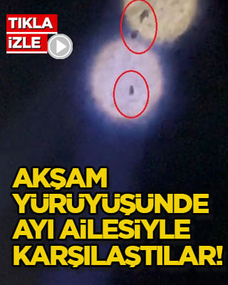 Akşam yürüyüşünde ayı ailesiyle karşılaştılar!