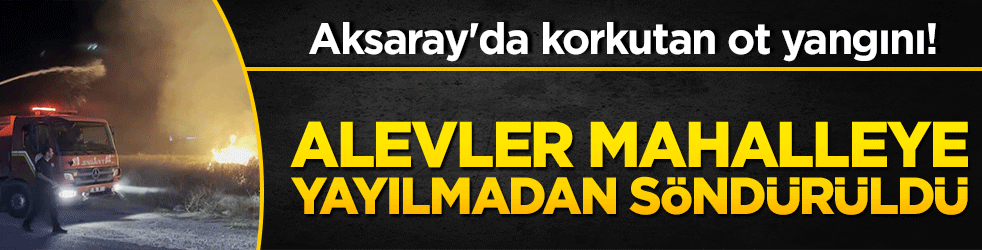 Aksaray'da korkutan ot yangını! Alevler mahalleye yayılmadan söndürüldü!