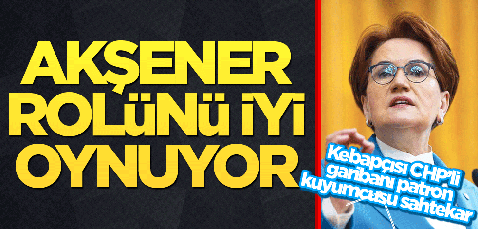 Akşener rolünü iyi oynuyor