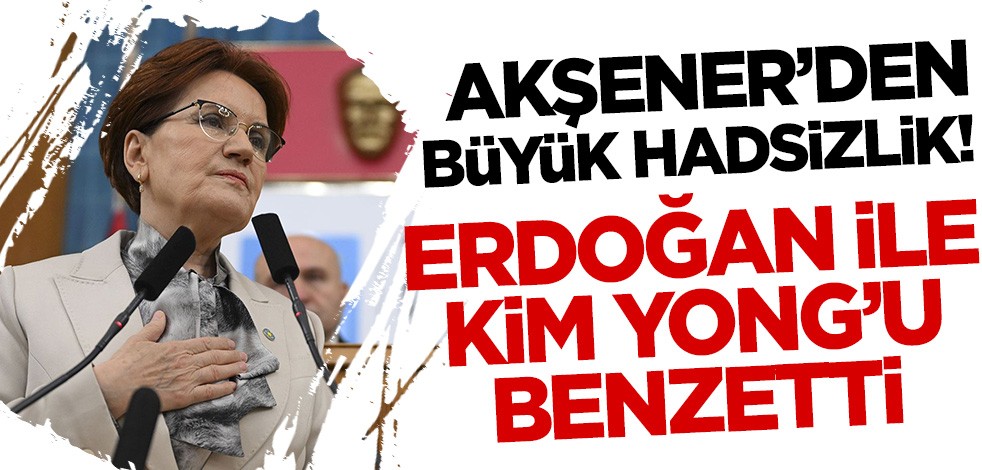 Akşener'den büyük hadsizlik! Kim Yong ile Erdoğan'ı benzetti