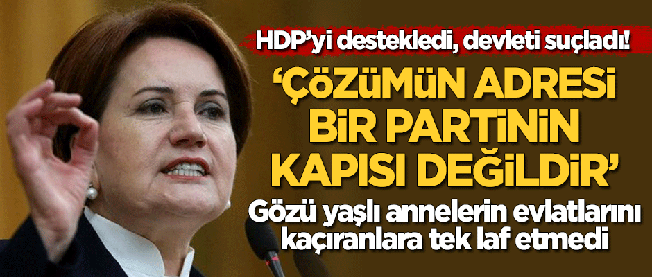 Akşener'den HDP'ye destek açıklaması! Evlatları kaçıranları değil devleti suçladı!